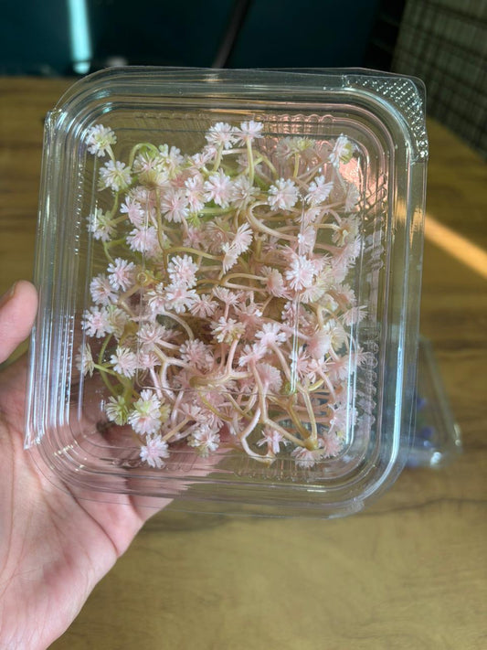 Artificial Baby Breath Flowers